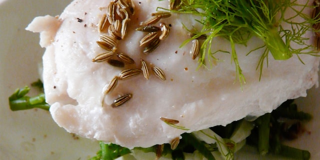 Kabeljauwfilet met pastis op een salade van venkel en zeekraal