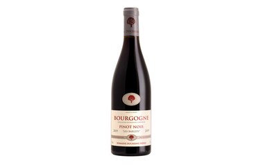 France - Frankrijk-Bourgogne - Bourgogne