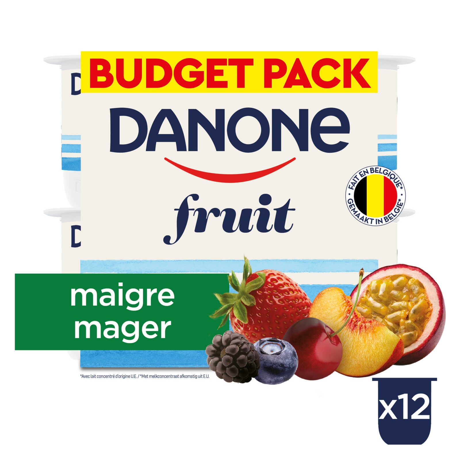 Danone, Yaourt, Fruits, Mix, Maigre, Budget, 1,5 kg