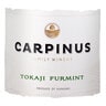 Carpinus