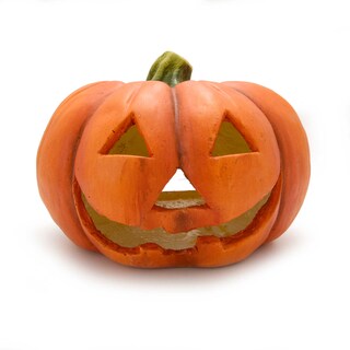 Delhaize | Fiberglas Pompoen 20cm 