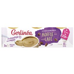 Gerlinéa, Milkshake, Repas, Vanille, 436 gr