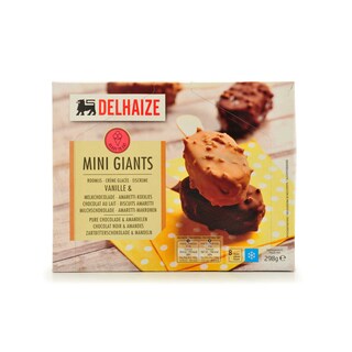 Delhaize | MINI GIANTS 