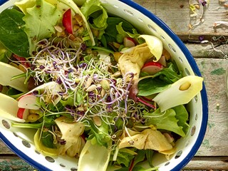Salade de luzerne et chicons