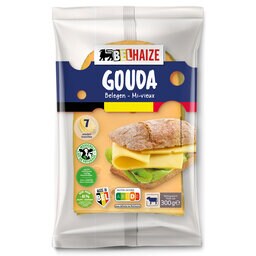 GOUDA BELGE | MI-VIEUX | 7TR