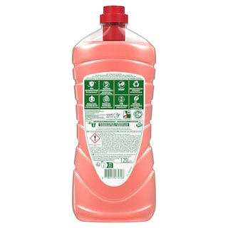 Ajax | Allesreiniger | Hibiscus | Fetes Des Fleurs | BDC | 1.250L 