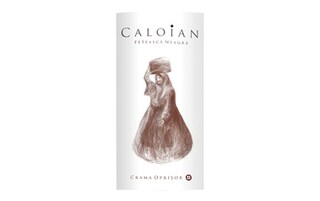 Caloian | Feteasca Neagra 
