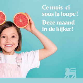 Delhaize | Leaflet 