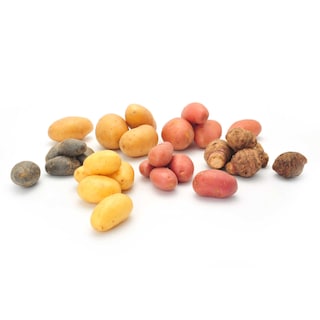 Delhaize | POMMES DE TERRE 