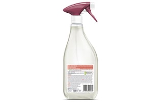 Ecover | Nettoyant four & plaque | Eco 