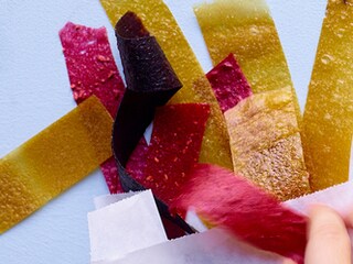 Cuir de fruits aux pommes et myrtilles