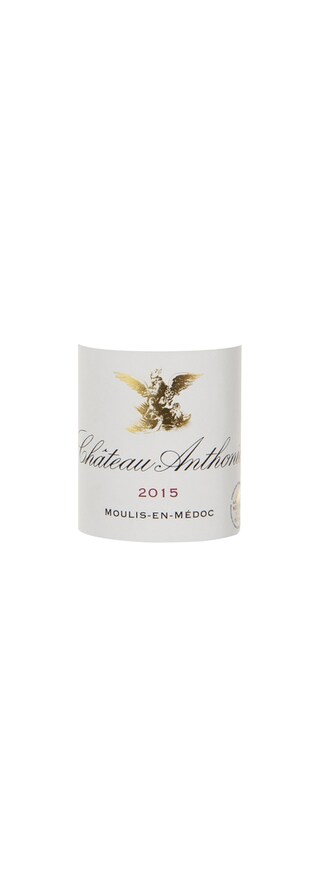 France - Frankrijk | Bordeaux - Moulis en Médoc | Château Anthonic 2015 Rood 