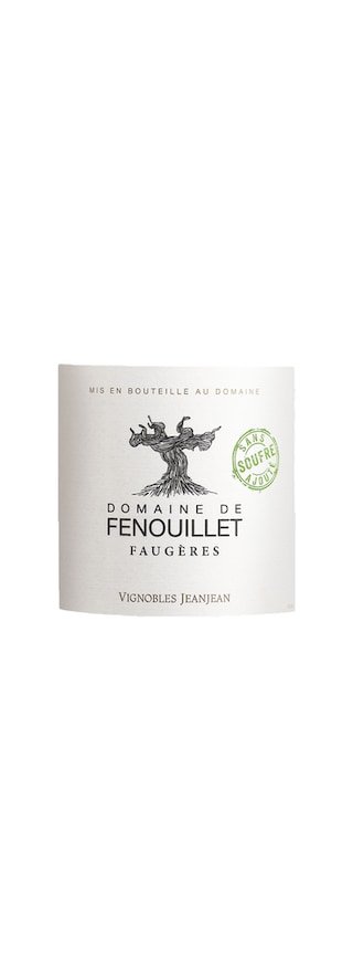 France - Frankrijk | Coteaux du Languedoc | Domaine de Fenouillet |  2019 | Rouge 