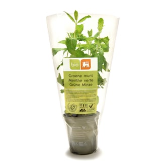 Delhaize | Bio | Munt | Groen | Pot | Bio 