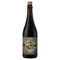 Bruin bier | 8,5% ALC. | Fles