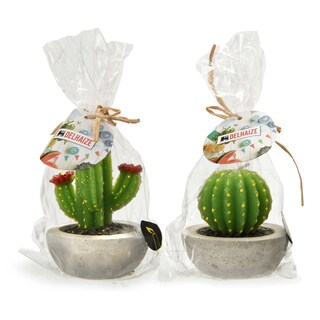 Delhaize | Kaars Cactus 