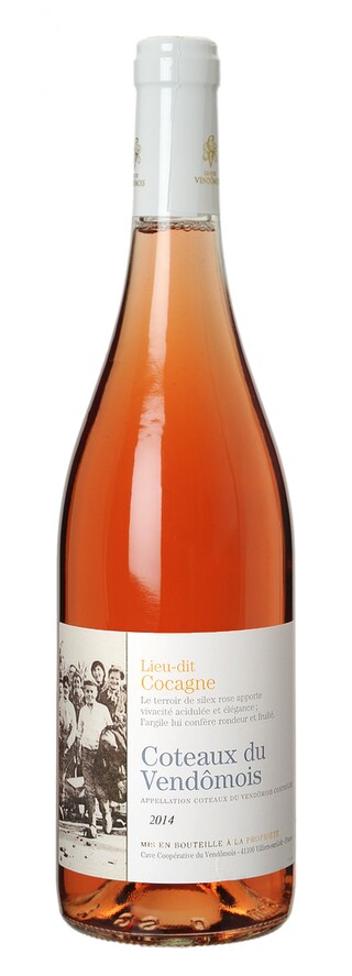 FR LOIRE VENDEE | Cocagne Coteaux Vendomois Gris Rosé 