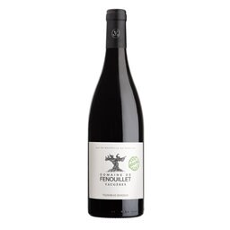 France - Frankrijk | Coteaux du Languedoc | Domaine de Fenouillet |  2019 | Rouge 