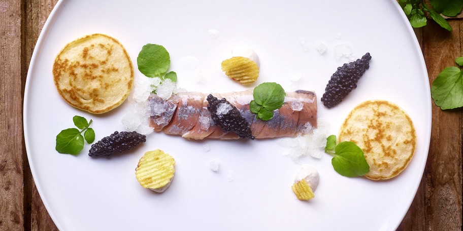 Maatjes met posteleinolie, rolmopssaus en wodkagranita