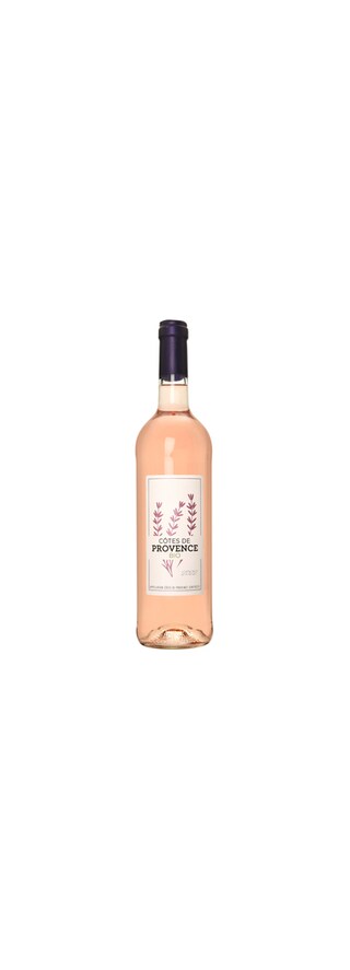 France - Provence | Côtes Provence Summer Rosé Bio 