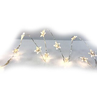 Delhaize | Guirlande Etoile | Led 