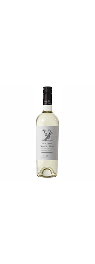 Santa Tierra | Reserva 100 Year Old Vines | Sauvignon Blanc 75 cl