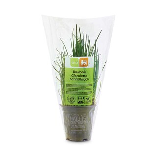 Delhaize | Bio | Ciboule | Pot | Bio 