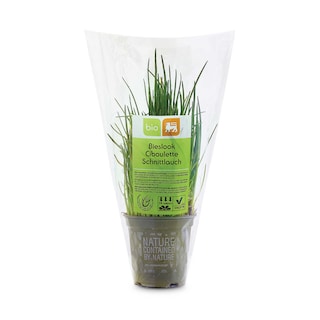 Delhaize | Bio | Bieslook | Pot | Bio 
