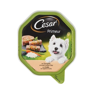 Cesar