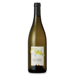 Belgique - België | Triturus 2019 Wit 