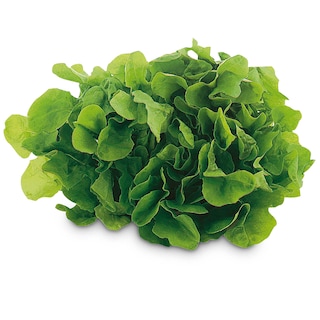 Delhaize | Salade de feuilles de chêne verte 