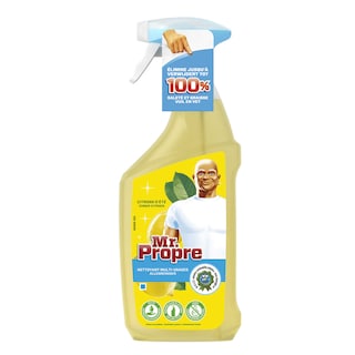 Mr Propre | Allesreiniger | Spray | Citroen 