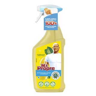 Mr Propre | Multi-Usages | Spray | Citron 