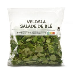 Salade de blé