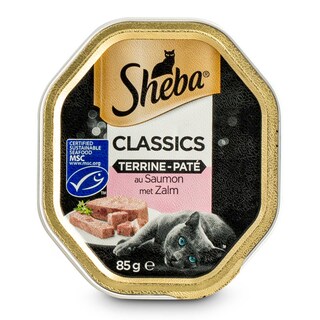 Sheba