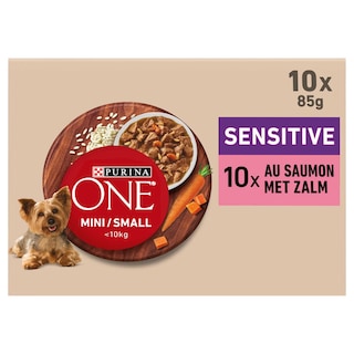 Aliment Chien | Mini | Saumon