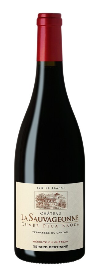 France - Frankrijk | Midi de la France - Languedoc | Sauvageonne Pica Broca 15 