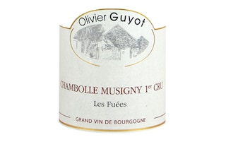France - Frankrijk | Bourgogne - Côte de Nuits | Chambolle Musigny 1er Cru Feusselottes 15 R 