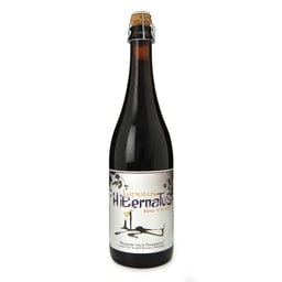 Bière d'hiver | 9,5% | Bouteille