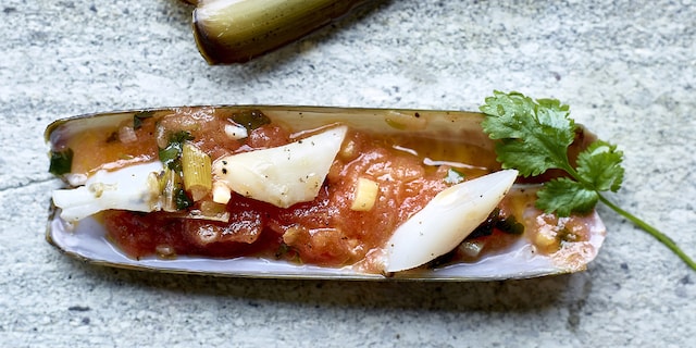 Couteaux à la tomate, à la coriandre et à l'ail