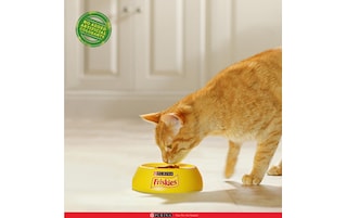 Friskies | Purina | Kattenvoeding | Adult| Kip & Groenten 