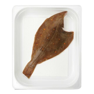 Delhaize | Pladijs Bulk 