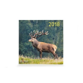 Te Neues - Pok Editions | Calendrier | Animaux forêt & prairie | 2019 | 30 x 30 cm 