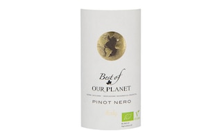 Italie - Italië | Sicilia IGP | Best Of Our Planet Pinot Nero 2018 | BIO 