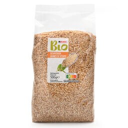 Delhaize | Bio | Seasamzaad | Bio 