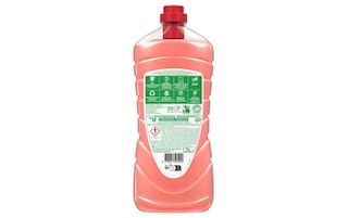Ajax | Allesreiniger | Hibiscus | Fetes Des Fleurs 