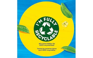 Lipton | Green Tea | Ice Tea | Non pétillant | Vert | Sans Sucre 6 x 50 cl