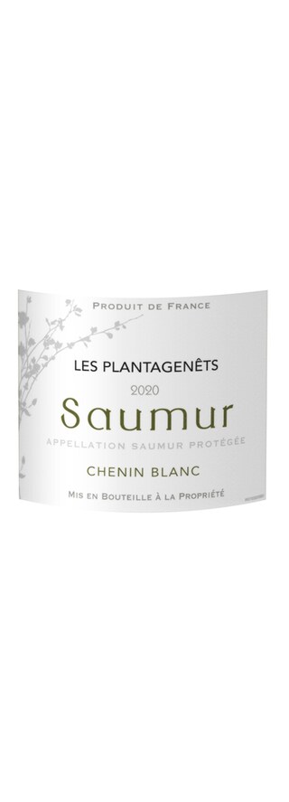 France - Frankrijk | Loire | Saumur Plantagen 2020 Blanc 