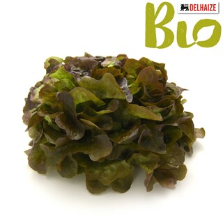 Delhaize | Bio | Feuille de laittue rouge | Bio 