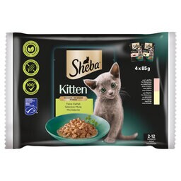 Kattenvoer | Kitten | Mix